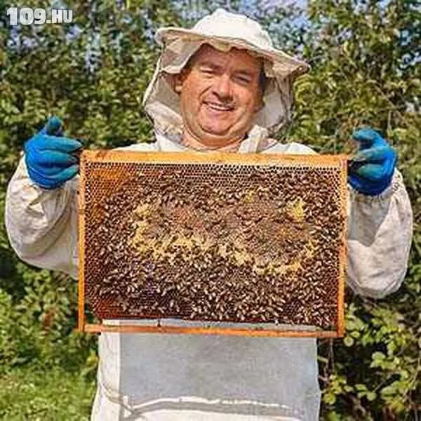Méhész tanfolyam